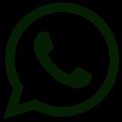 WhatsApp icon